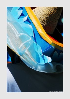 10th Paris Tropical Carnival 36