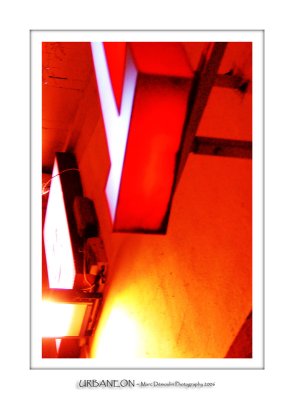Urbaneon 2