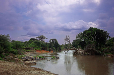 Grumeti River