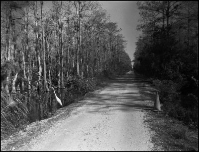 g6/29/663529/3/72416992.Qau9ldZk.jpg