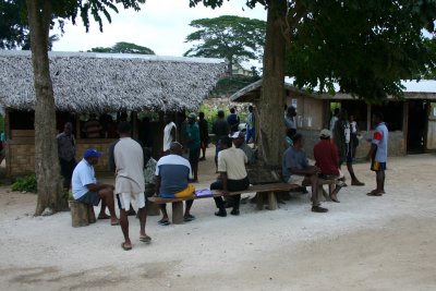 Kava bar