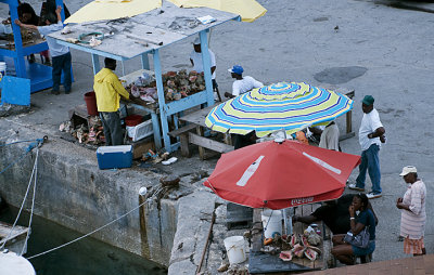 Selling Conch