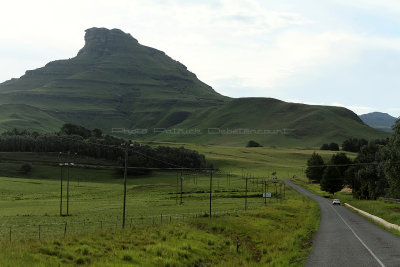 1119 Two weeks in South Africa - IMG_3516 DxO Pbase.jpg