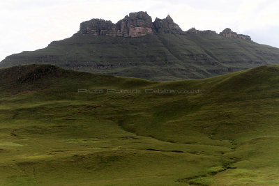 1130 Two weeks in South Africa - IMG_3528 DxO Pbase.jpg