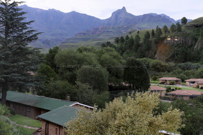 1149 Two weeks in South Africa - IMG_3547 DxO Pbase.jpg
