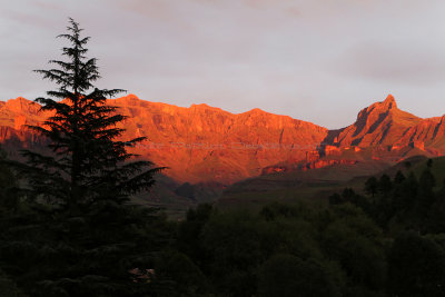 1166 Two weeks in South Africa - IMG_3565 DxO Pbase.jpg