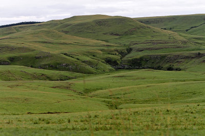 1206 Two weeks in South Africa - IMG_3607 DxO Pbase.jpg