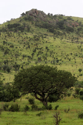 2022 Two weeks in South Africa - IMG_4292 DxO Pbase.jpg