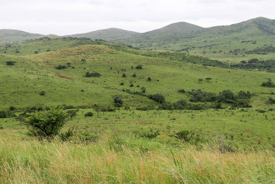 2152 Two weeks in South Africa - MK3_2496 DxO Pbase.jpg