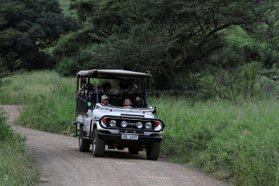 2199 Two weeks in South Africa - IMG_4452 DxO Pbase.jpg