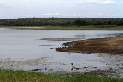 2455 Two weeks in South Africa - IMG_4712 DxO Pbase.jpg