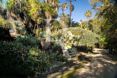 Jardim Botânico (MN)