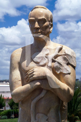 Jos Rgio