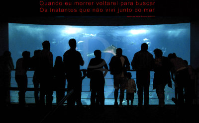 Lisbon Oceanarium