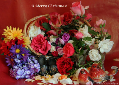 Colourful December