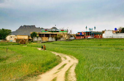 g9/30/553830/3/164510350.Hs462GIi.jpg