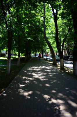DSC_0117.JPG