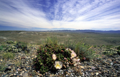 The wide open spaces of Patagonia