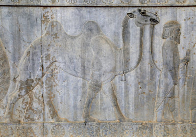 Parthian bringing a Camel, Apadana Staircase, Persepolis - Levels adjusted