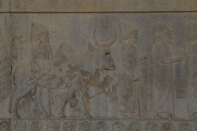 Babylonian Delegation, Apadana Staircase, Iran - Original