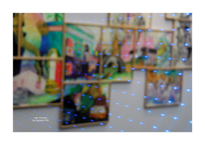 Art Paris 2014 - 3