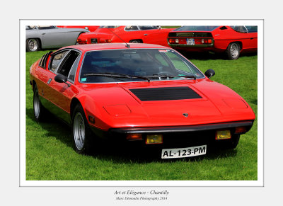 Art et Elegance 2014 - Chantilly 45