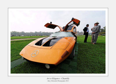 Art et Elegance 2014 - Chantilly 60