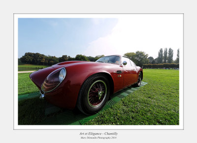 Art et Elegance 2014 - Chantilly 77