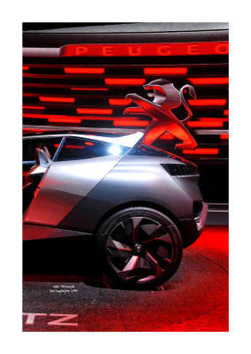 Mondial de l'Automobile 4