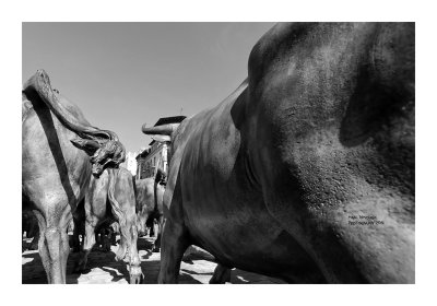 The statue in Pamplona 22