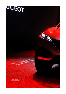 Mondial de l'Automobile 8