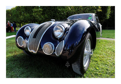 Art et Elegance 2015 - Chantilly 9