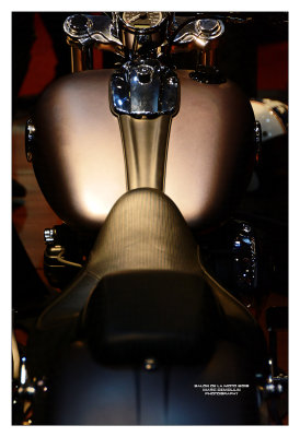 Salon de la Moto et du Scooter 2015 - 8