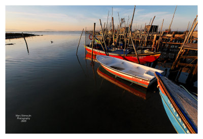 Carrasqueira 28
