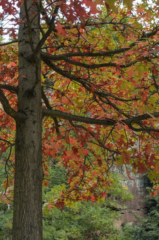 Changing Colors
