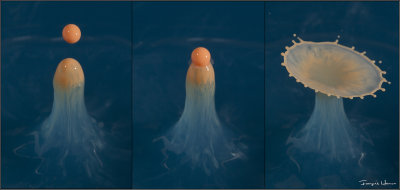Gouttes / Droplets