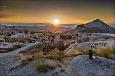 Drinking in the wild