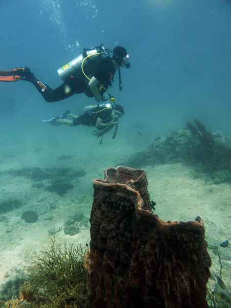 ThailandDive Nov17 0544.jpg