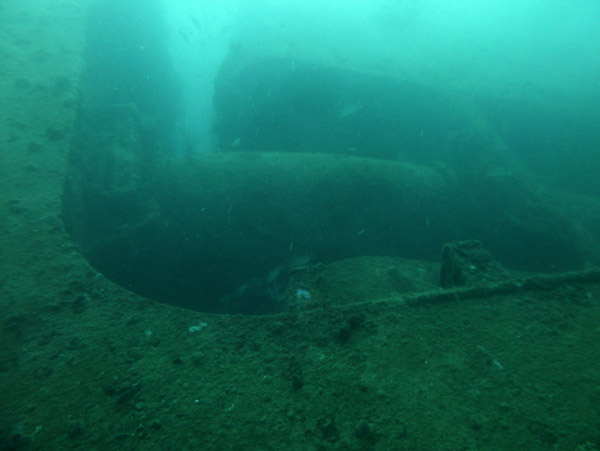 ThailandDive Nov17 1452.jpg