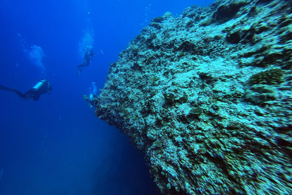Dive Addu - Mulikolhu Fara
