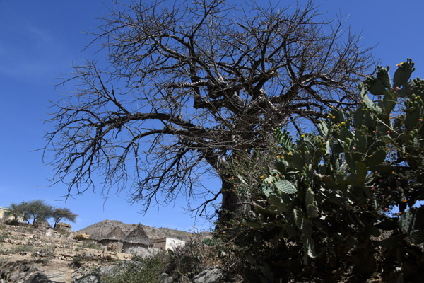 Eritrea Mar23 0638.jpg