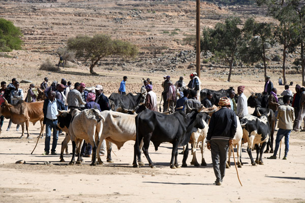 Eritrea Mar23 0538.jpg