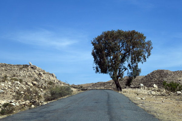 Eritrea Mar23 0557.jpg