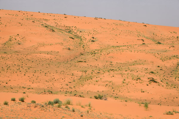 KSA Apr23 0425.jpg