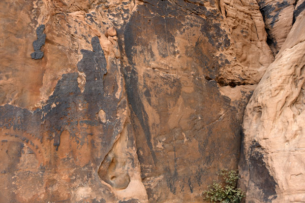 KSA Apr23 0487.jpg
