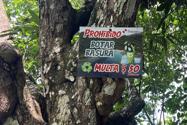 Panama ip24 08.jpg