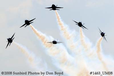 The Blue Angels at the 2008 Great Tennessee Air Show practice show at Smyrna aviation stock photo #1463