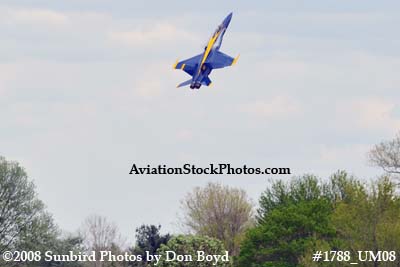 Blue Angels #6 at the 2008 Great Tennessee Air Show at Smyrna aviation stock photo #1788