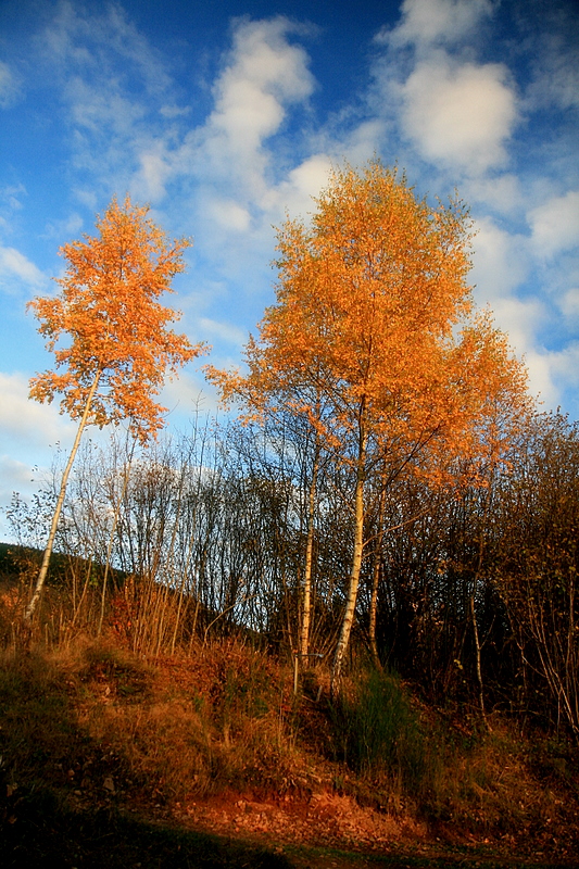 november blue sky