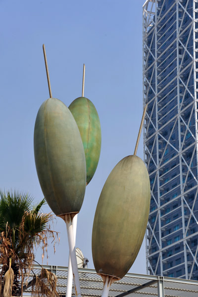 Olives? Vila Olimpica